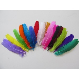 PENAS COLORIDAS PACOTE 3G SORTIDO